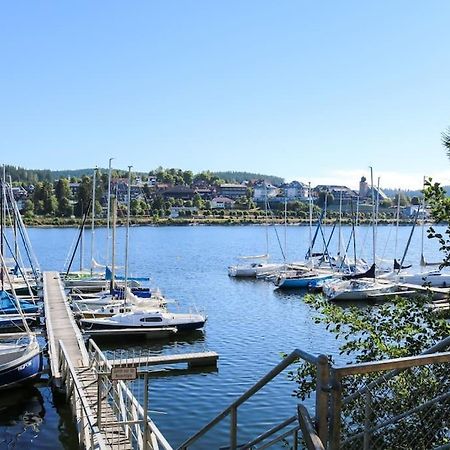 Fewo Sperlingskauz Mit Pool, Sauna & Hochschwarzwaldcard Schluchsee Bagian luar foto