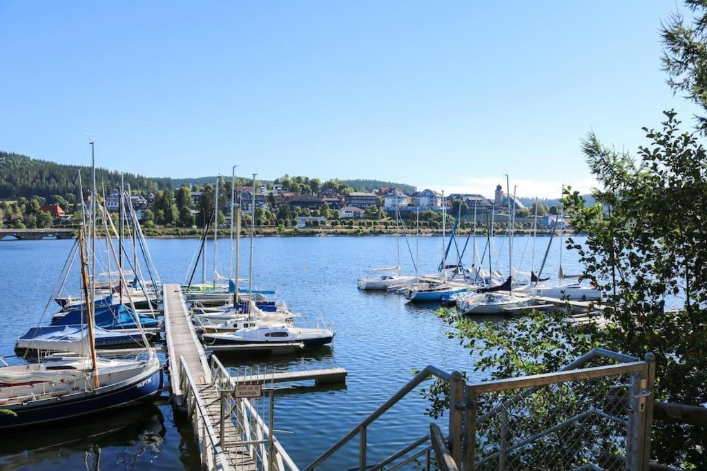 Fewo Sperlingskauz Mit Pool, Sauna & Hochschwarzwaldcard Schluchsee Bagian luar foto