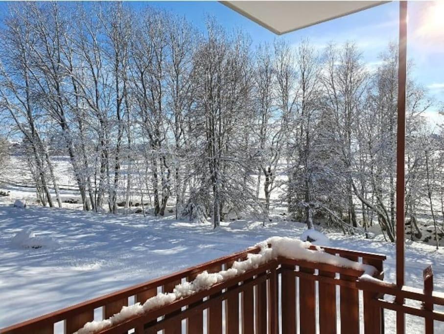 Fewo Sperlingskauz Mit Pool, Sauna & Hochschwarzwaldcard Schluchsee Bagian luar foto