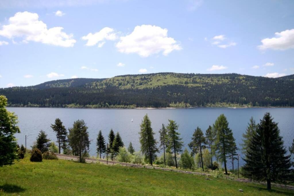 Fewo Sperlingskauz Mit Pool, Sauna & Hochschwarzwaldcard Schluchsee Bagian luar foto