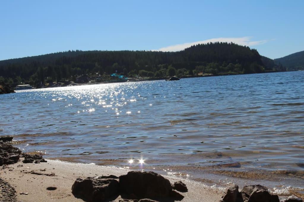 Fewo Sperlingskauz Mit Pool, Sauna & Hochschwarzwaldcard Schluchsee Bagian luar foto