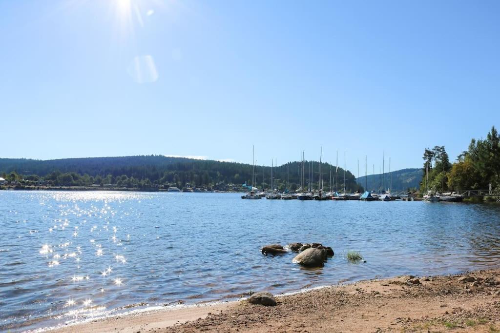 Fewo Sperlingskauz Mit Pool, Sauna & Hochschwarzwaldcard Schluchsee Bagian luar foto