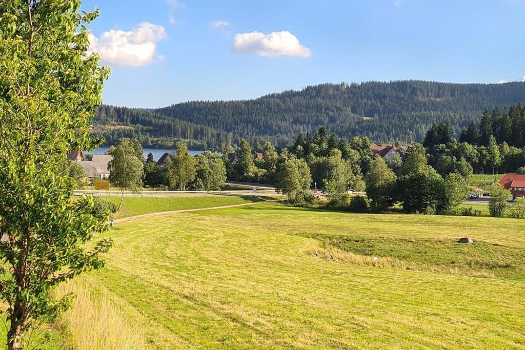 Fewo Sperlingskauz Mit Pool, Sauna & Hochschwarzwaldcard Schluchsee Bagian luar foto