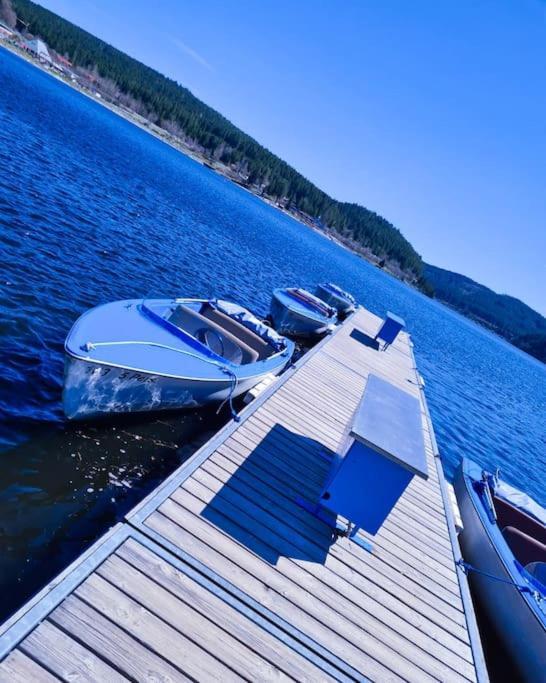 Fewo Sperlingskauz Mit Pool, Sauna & Hochschwarzwaldcard Schluchsee Bagian luar foto
