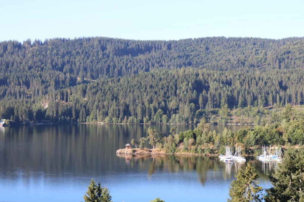 Fewo Sperlingskauz Mit Pool, Sauna & Hochschwarzwaldcard Schluchsee Bagian luar foto