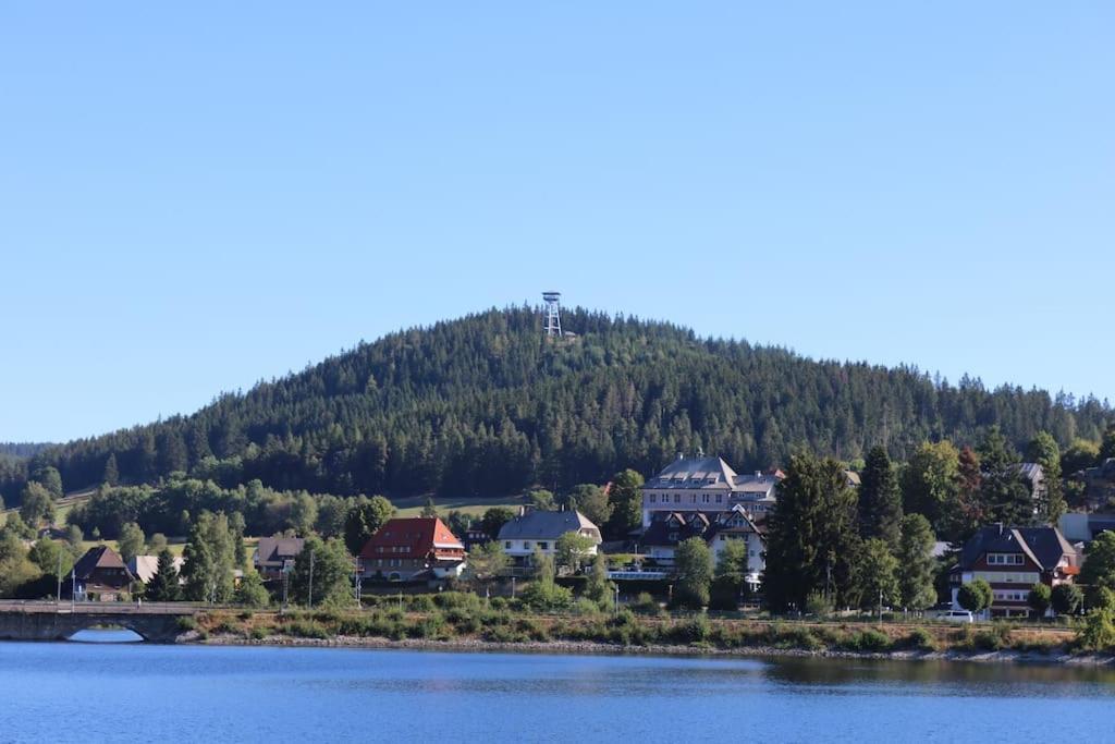 Fewo Sperlingskauz Mit Pool, Sauna & Hochschwarzwaldcard Schluchsee Bagian luar foto
