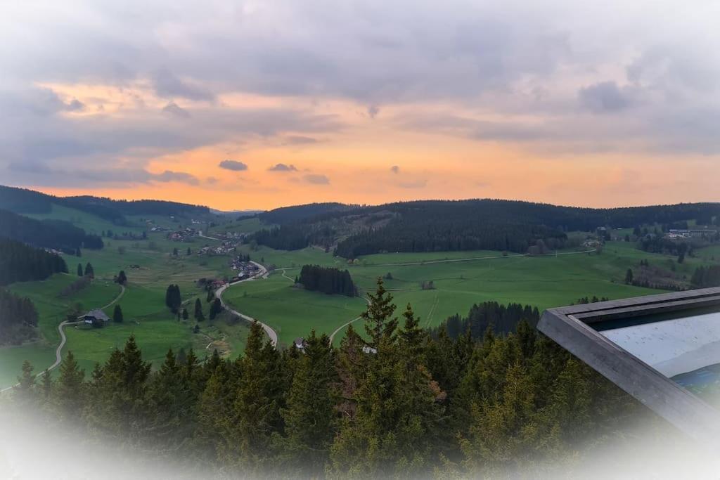 Fewo Sperlingskauz Mit Pool, Sauna & Hochschwarzwaldcard Schluchsee Bagian luar foto