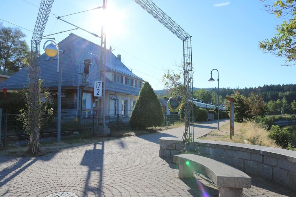 Fewo Sperlingskauz Mit Pool, Sauna & Hochschwarzwaldcard Schluchsee Bagian luar foto