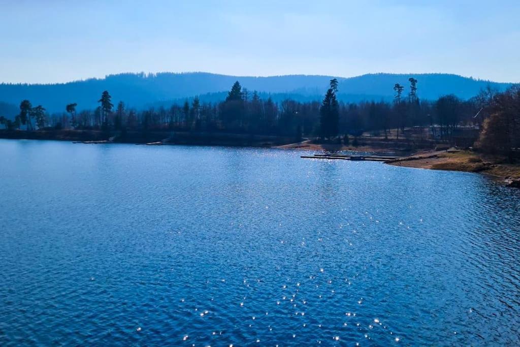 Fewo Sperlingskauz Mit Pool, Sauna & Hochschwarzwaldcard Schluchsee Bagian luar foto