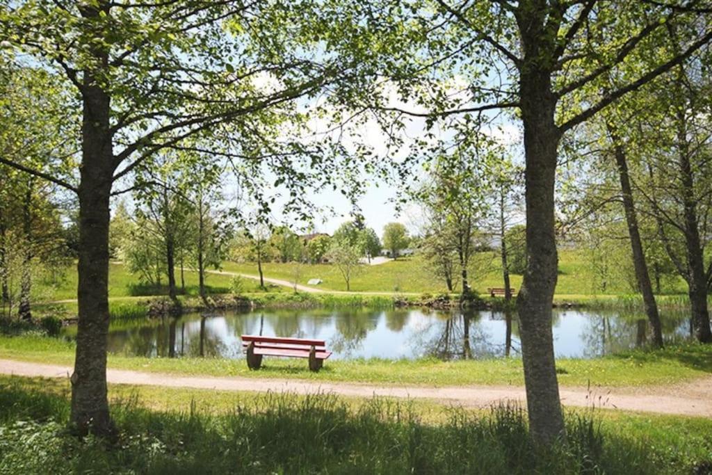 Fewo Sperlingskauz Mit Pool, Sauna & Hochschwarzwaldcard Schluchsee Bagian luar foto