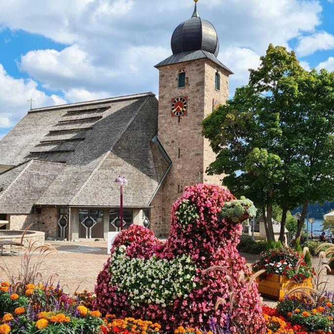 Fewo Sperlingskauz Mit Pool, Sauna & Hochschwarzwaldcard Schluchsee Bagian luar foto