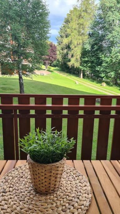 Fewo Sperlingskauz Mit Pool, Sauna & Hochschwarzwaldcard Schluchsee Bagian luar foto