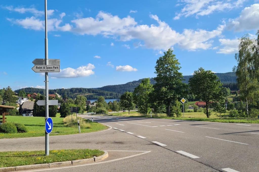 Fewo Sperlingskauz Mit Pool, Sauna & Hochschwarzwaldcard Schluchsee Bagian luar foto